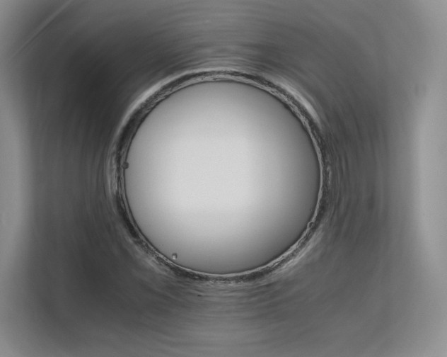 X0000111681069200907171629