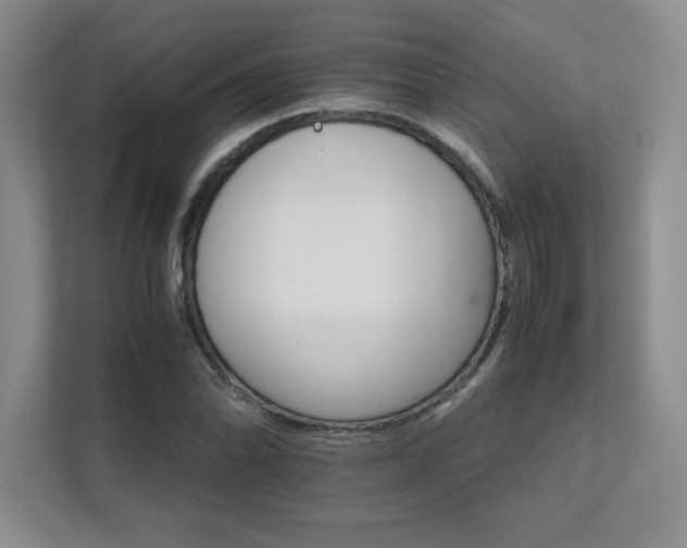 X0000111681070200907171629