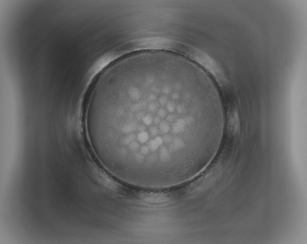 X0000111681071200907171629