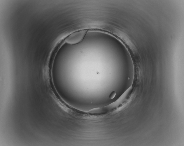 X0000111681072200907171629