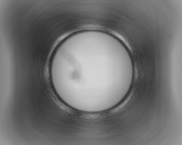 X0000111681074200907171629