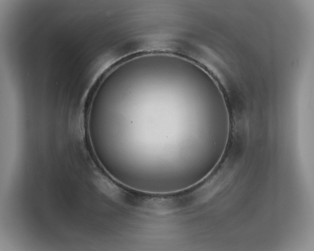 X0000111681075200907171629