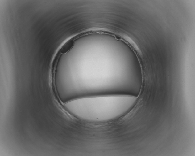 X0000111681076200907171629