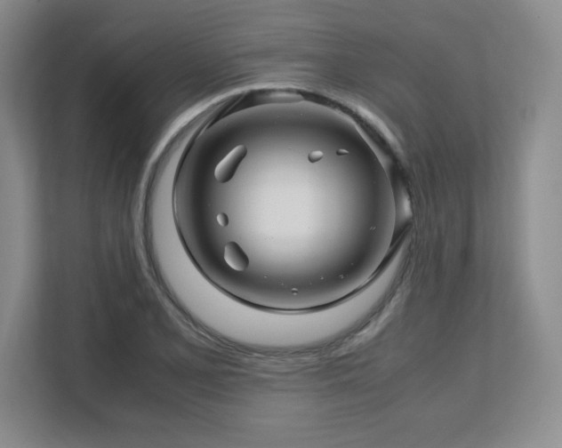 X0000111681077200907171629