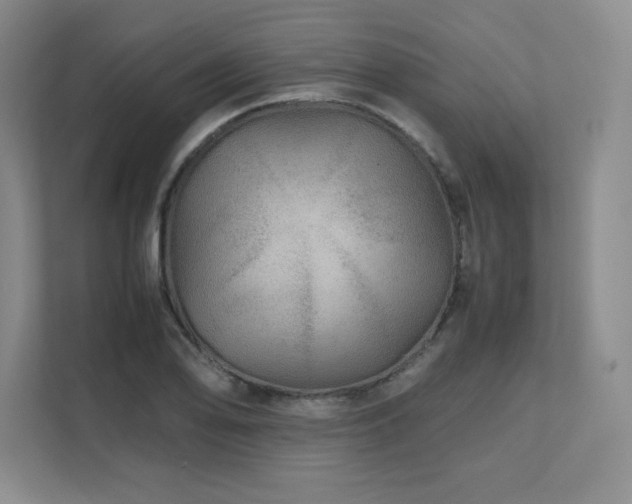 X0000111681078200907171629