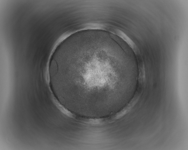 X0000111681080200907171629