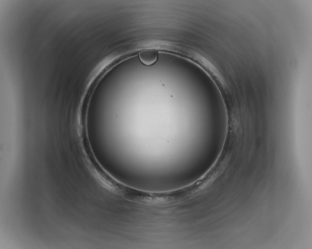 X0000111681082200907171629