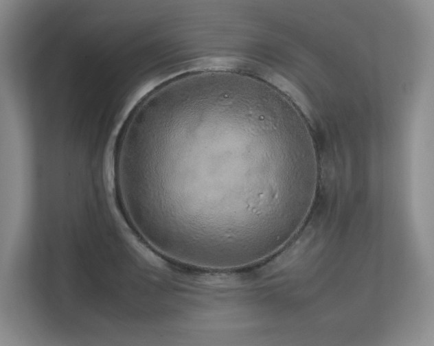 X0000111681083200907171629