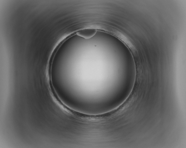 X0000111681084200907171629