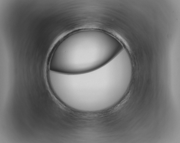 X0000111681085200907171629