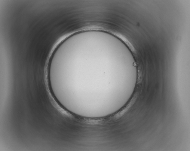 X0000111681086200907171629