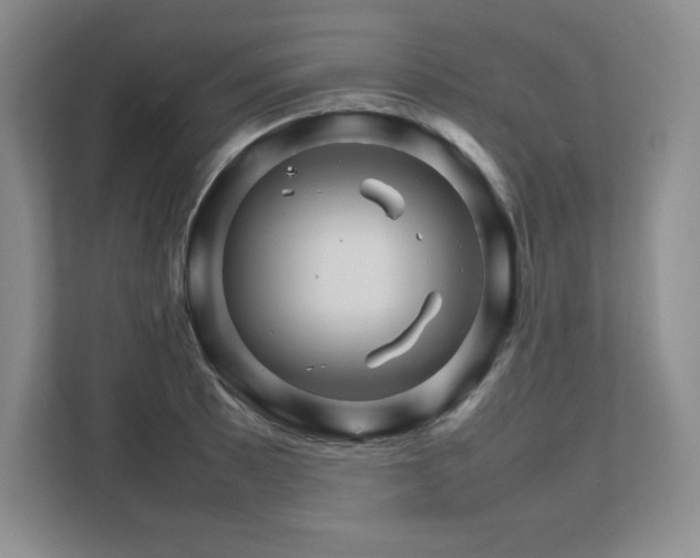 X0000111681089200907171629