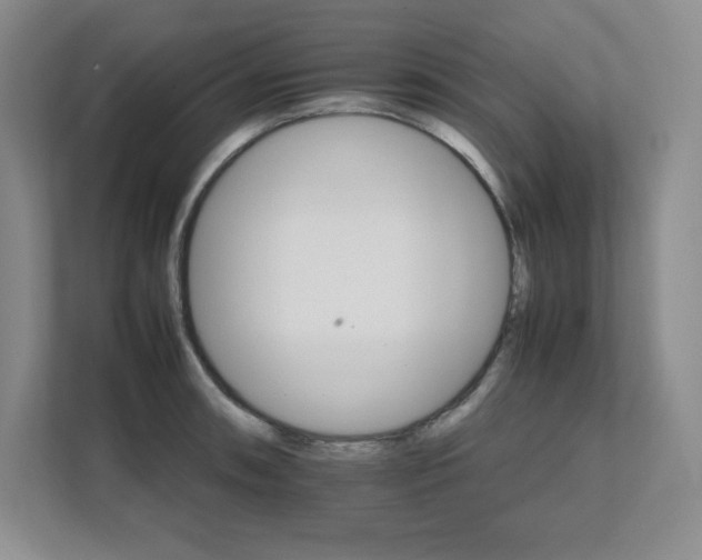 X0000111681090200907171629