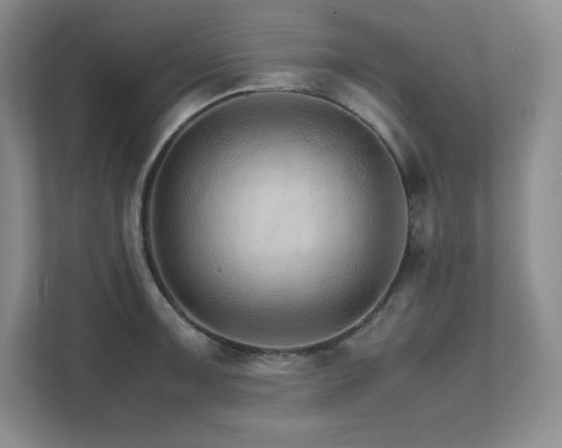 X0000111681091200907171629