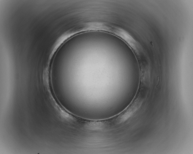 X0000111681094200907171629