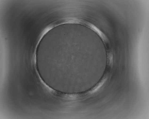 X0000111681095200907171629