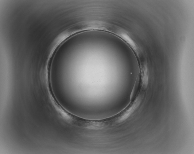 X0000111681096200907171629