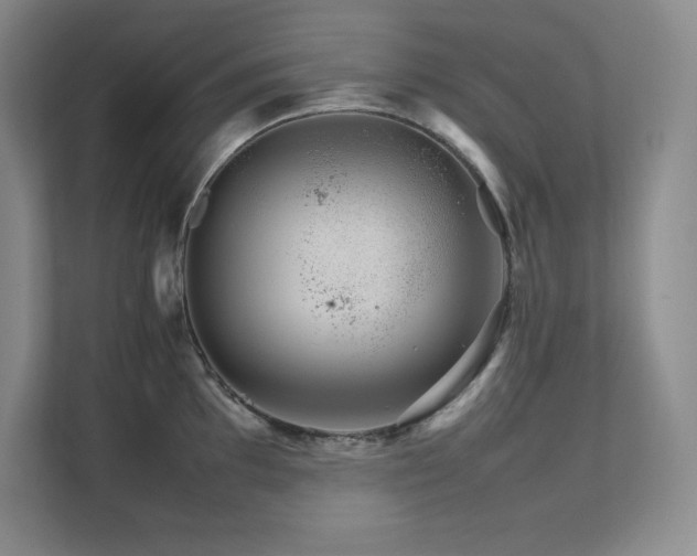 X0000111681097200907171629