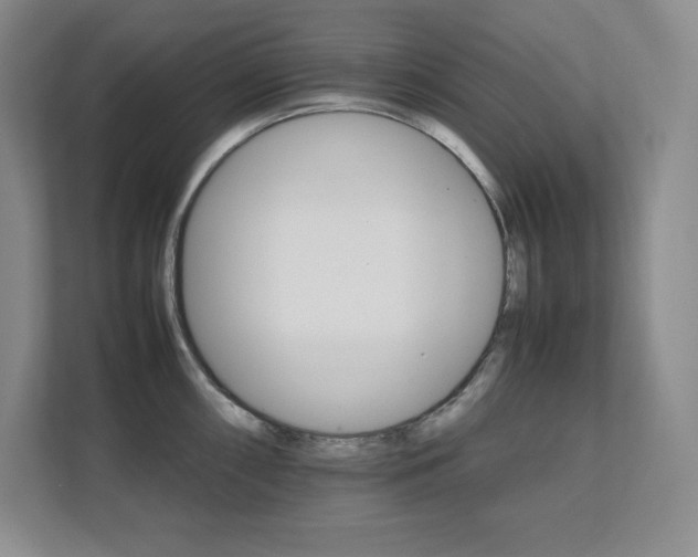 X0000111681098200907171629