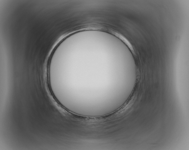 X0000111681099200907171629