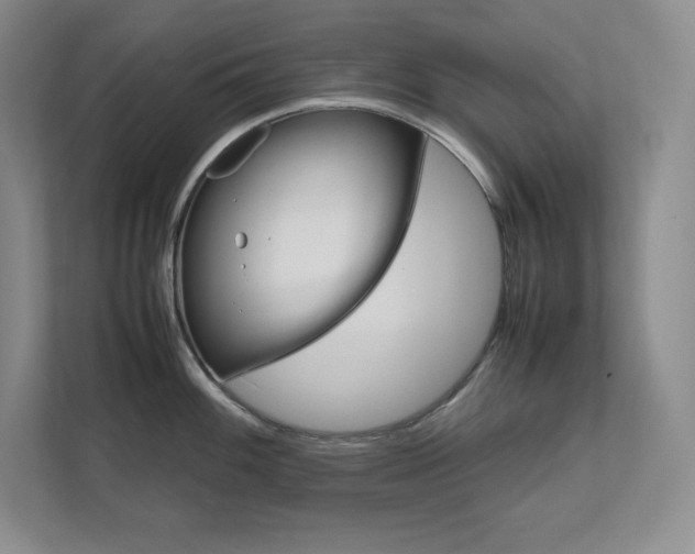 X0000111681100200907171629