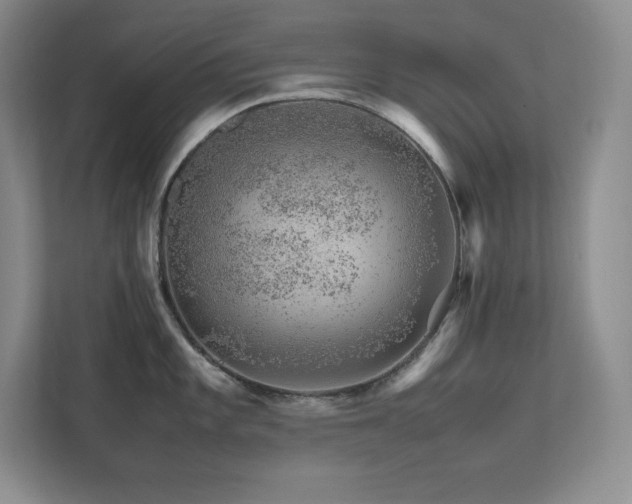 X0000111681101200907171629