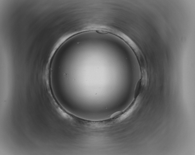 X0000111681102200907171629