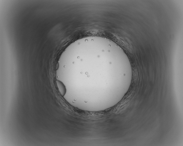 X0000111681105200907171628