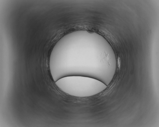 X0000111681107200907171628