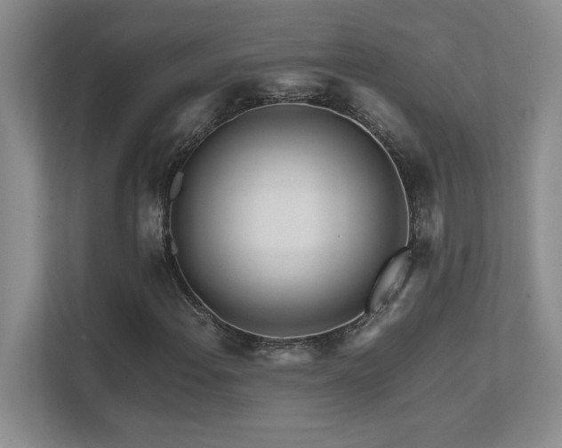 X0000111681108200907171628