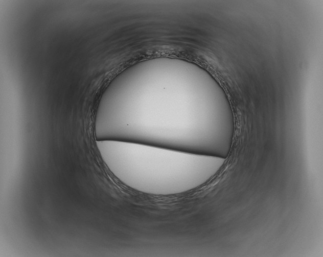 X0000111681109200907171628