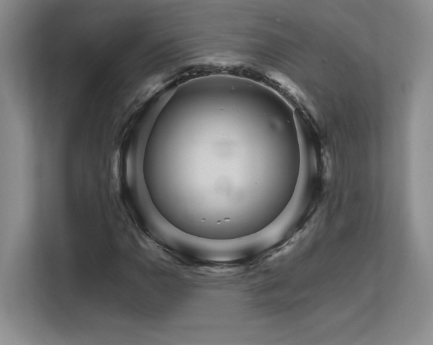 X0000111681110200907171628