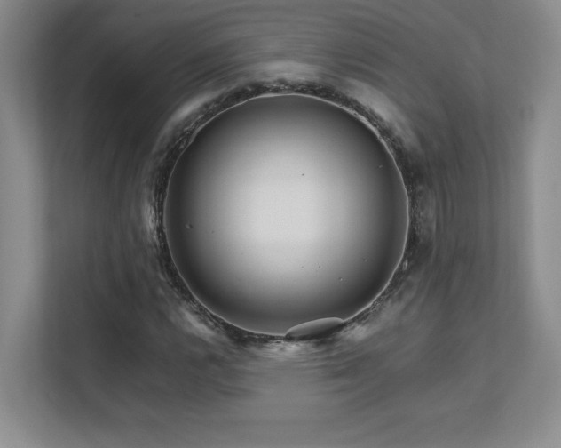 X0000111681112200907171628