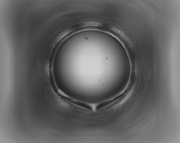 X0000111681113200907171628