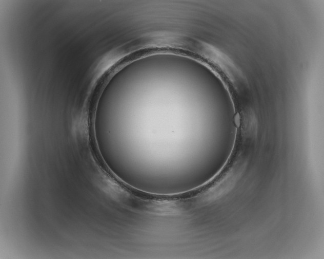 X0000111681114200907171628