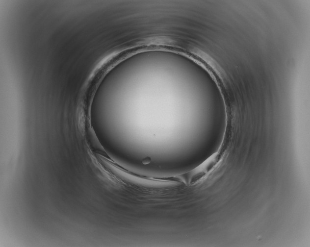 X0000111681115200907171628