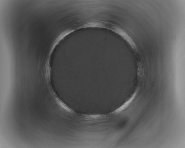 X0000111681117200907171628