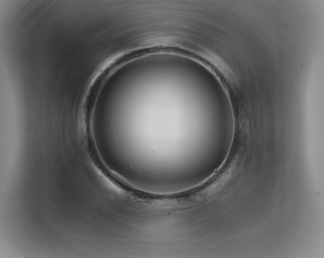 X0000111681118200907171628