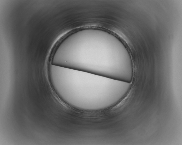 X0000111681119200907171628