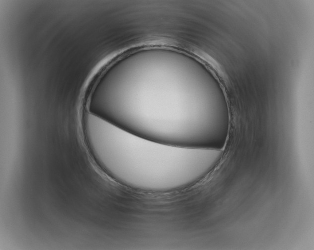 X0000111681120200907171628