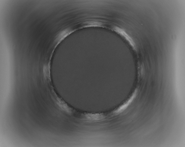 X0000111681121200907171628