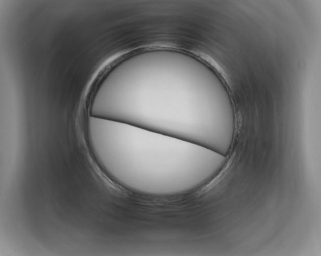 X0000111681123200907171628