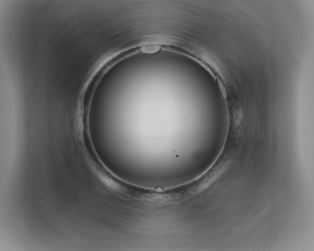 X0000111681124200907171628