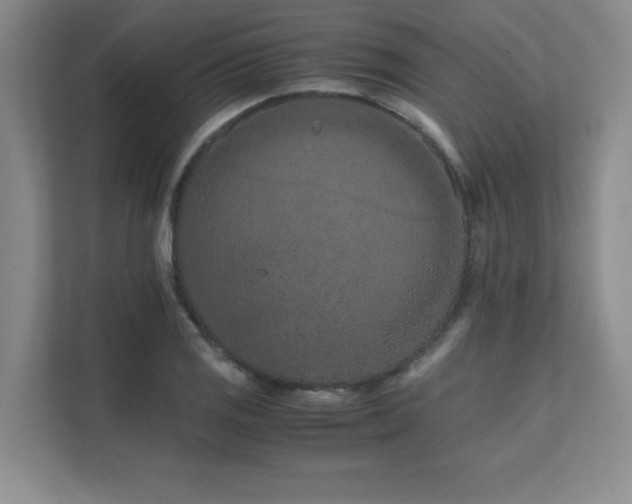 X0000111681125200907171628