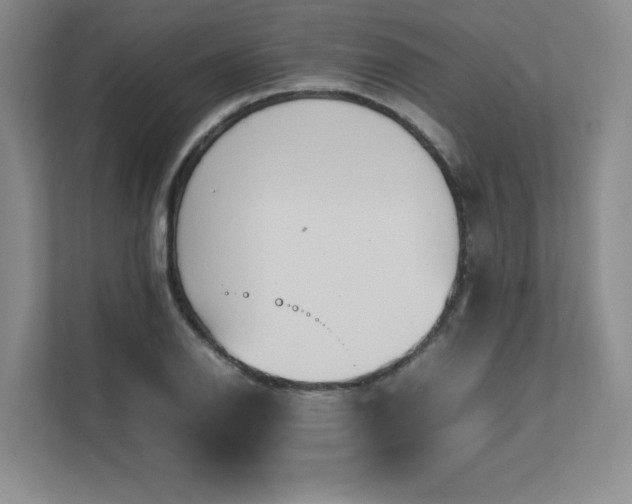 X0000111681126200907171628