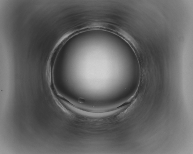 X0000111681127200907171628