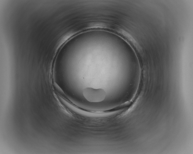 X0000111681129200907171628