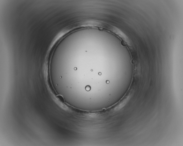 X0000111681130200907171628