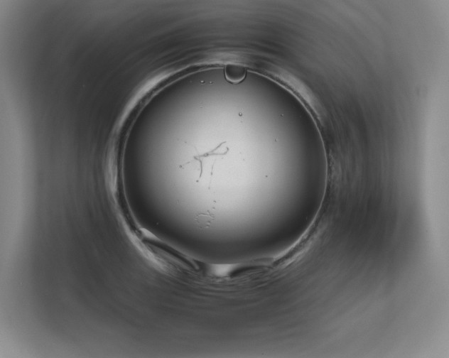 X0000111681131200907171628