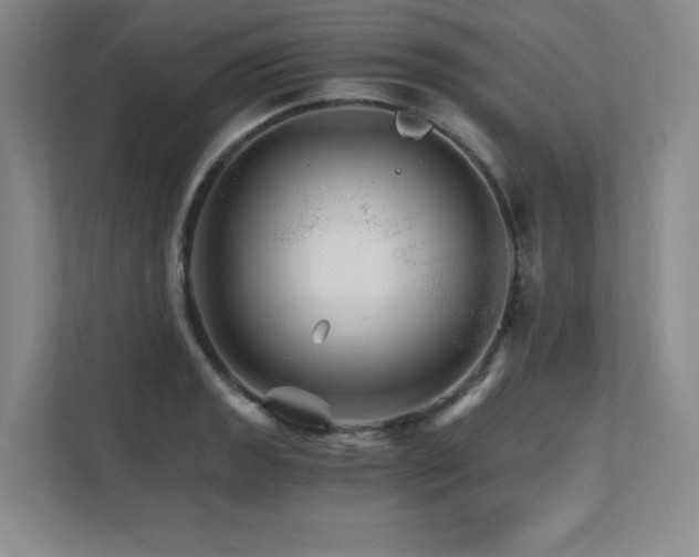 X0000111681133200907171628